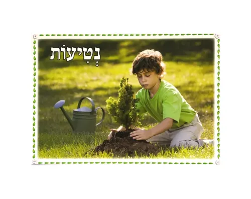 ערכת תמונות - ט