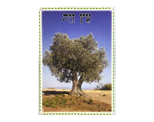 ערכת תמונות - ט