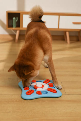 אמ פטס M-Pets צעצוע חשיבה לכלב מחביא חטיפים קופרניקוס בצורת ריבוע רמה2