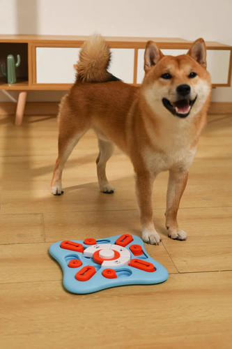 אמ פטס M-Pets צעצוע חשיבה לכלב מחביא חטיפים קופרניקוס בצורת ריבוע רמה2