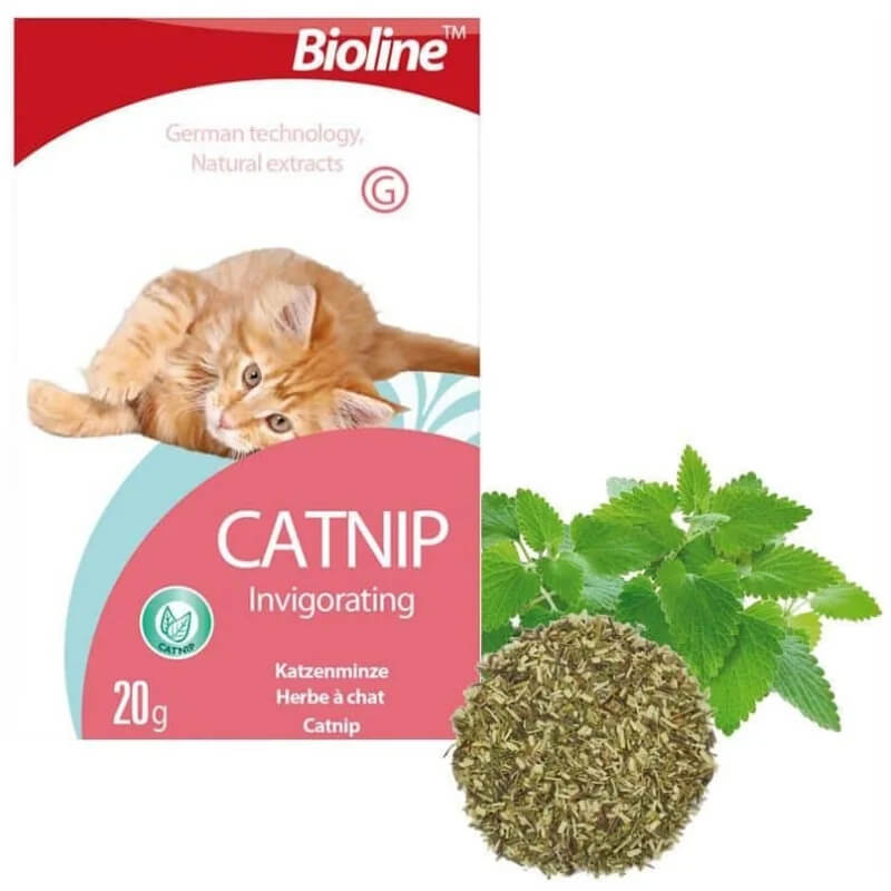 ביוליין Bioline קטניפ עלים לחתול 20 מל