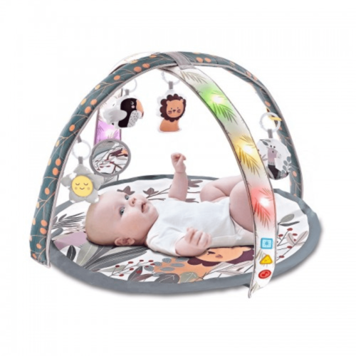 אוניברסיטה עם קשת צעצועים מוזיקלית לתינוק