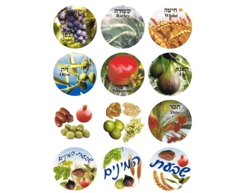 מדבקות שבעת המינים - דגם 640