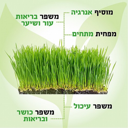 מסחטת מיצים איטית לעשב חיטה ולפירות קשים  UNIVERSE NRI-393