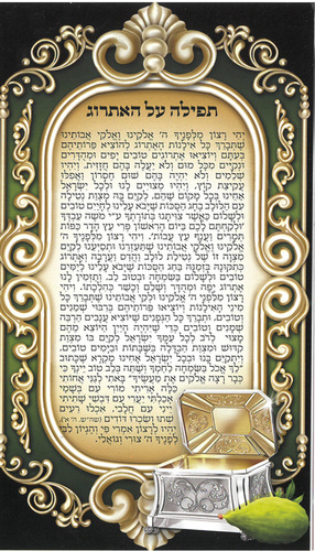 סדר תפילה על האתרוג