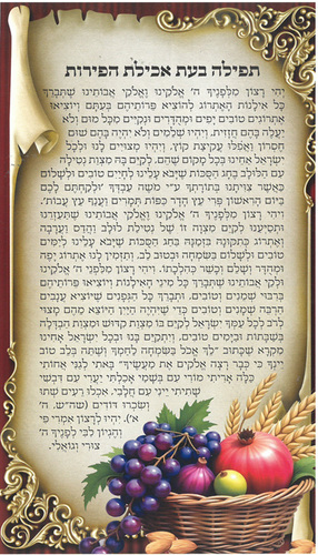 גלויה סדר התפילה בעת אכילת פירות ט