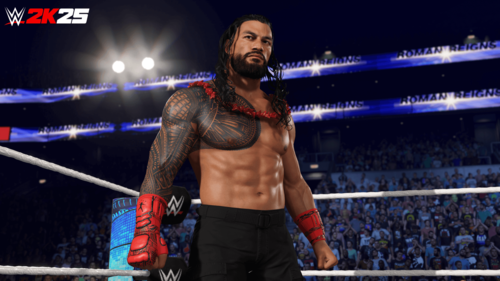  PS5 WWE 2K25