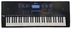 אורגן 5 אוקטבות Stagg | STK-200