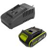 מטען + סוללה 20V 2Ah ירוק Worx