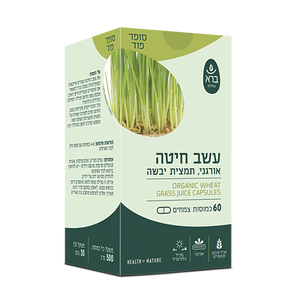 עשב חיטה אורגני | תמצית יבשה (כמוסות)