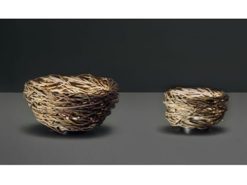 nest