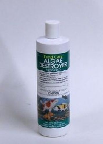 משמיד אצות לבריכות - algae destroyer