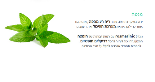 דוגי מארז עצמות דנטליות לניקוי שינים בטעם מנטה 6* יח גדולות / 18* יח קטנות
