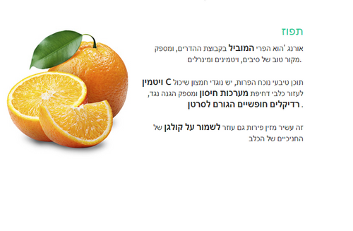 דוגי מארז עצמות דנטליות לניקוי שינים בטעם תפוז 6* יח גדולות / 18* יח קטנות