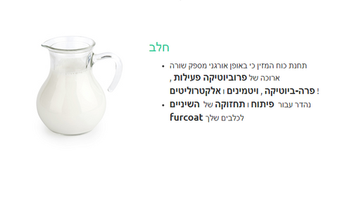 דוגי מארז עצמות דנטליות לניקוי שינים בטעם חלב 6* יח גדולות / 18* יח קטנות