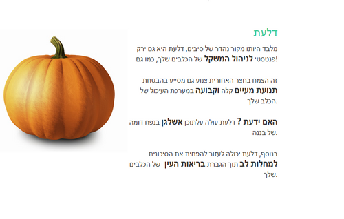 דוגי מארז עצמות דנטליות לניקוי שינים בטעם דלעת 6* יח גדולות / 18* יח קטנות