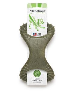 עצם בנבון שמינייה דנטלית מנטה M תוצרת usa מבצע 1+1 חינם