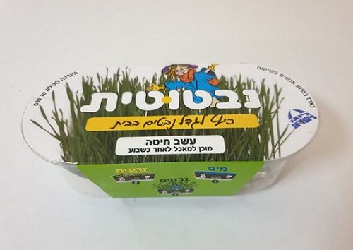 עשב חיטה 30 גרם לנבטה עצמית מסייע בעיכול לחתולים מכרסמים וציפורם תוצרת ישראל