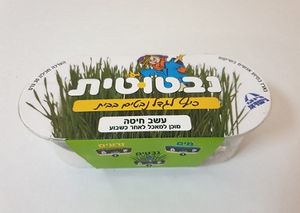 עשב חיטה 30 גרם לנבטה עצמית מסייע בעיכול לחתולים מכרסמים וציפורם תוצרת ישראל