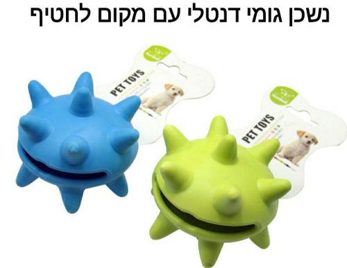 משחק דנטלי עם כיס לחטיף דנטאלי
