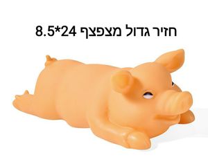 משחק לכלב חזיר מצפצף 1+1 חינם