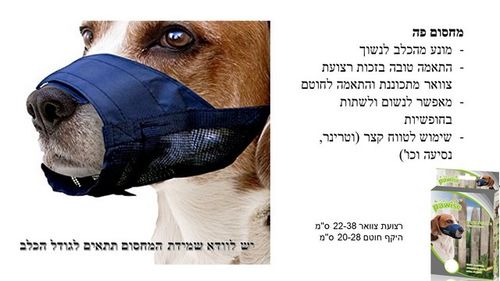 מחסום פה לכלב רשת
