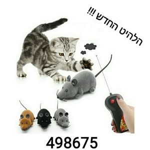 עכבר גדול על שלט 1+1 מתנה