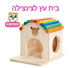 בית עץ לצ