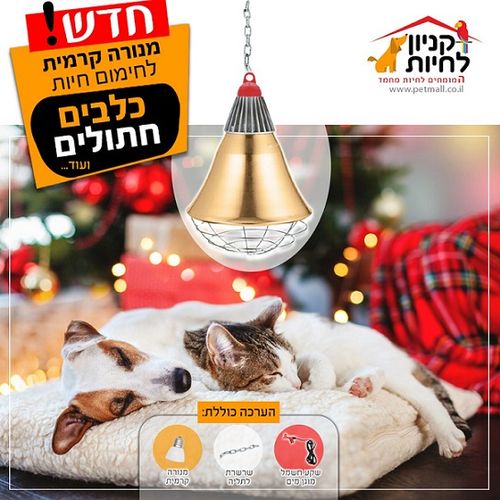  גוף נירוסטה למנורות חימום חיות מחמד : ניתן לרכוש אצלנו גם נורות חימום קרמיות ו / או מחממות ומאירות ו / או מדמות אור שמש U.V ו / או אור לילה ! לפרטים שירות לקוחות שיחת חינם 1800-228-228