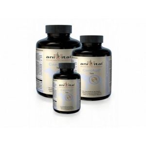 תוסף תזונה anivital caniagil