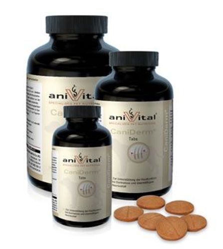 תוסף תזונה anivital caniderm<br>קנידרם
