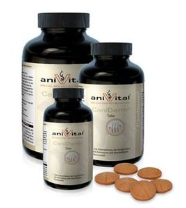 תוסף תזונה anivital caniderm<br>קנידרם