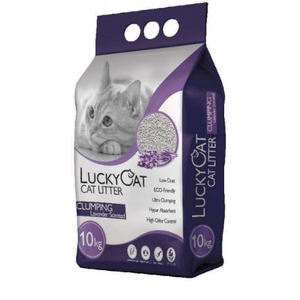 חול LUCKY מתגבש לבנדר 10 ק"ג