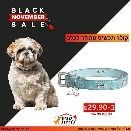 קולר תכשיט מהודר לכלב 