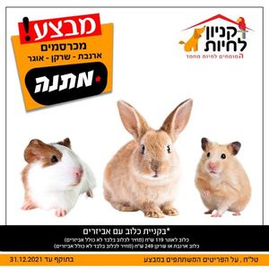 ארנב /  שרקן מתנה ברכישת ציוד אביזרים ומזון מעל 1700 ש"ח !