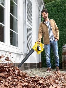 ‏מפוח עלים Karcher LBL4 קארשר