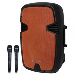 PURE ACOUSTICS PMW-2015