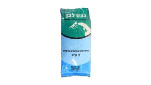 גבס