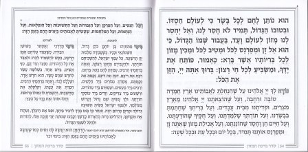 זמירות שבת - דגם עיגול (S)