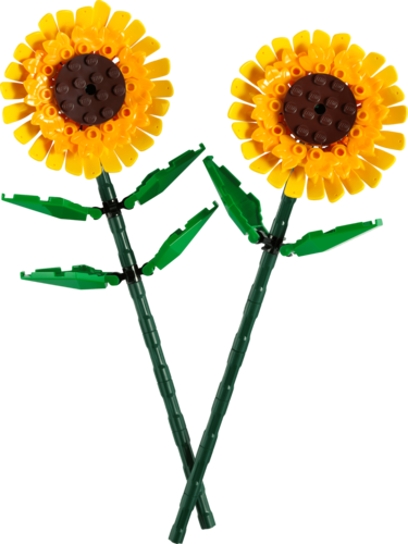 לגו Botanicals – חמניות (40524)