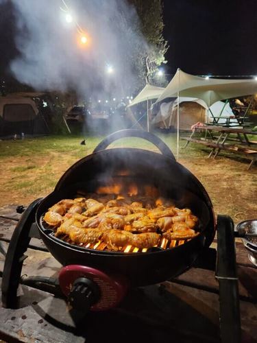 גריל גז זיגי Portable Ziggy היברידי - גריל נייד עם מכסה מתקפל ומבער נירוסטה נשלף