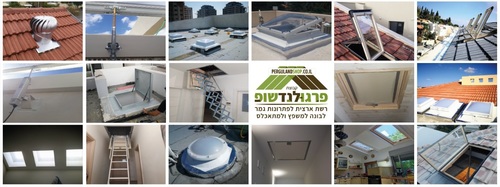 חושבים להפוך את עליית הגג שלכם לחלל מגורים או אחסון?