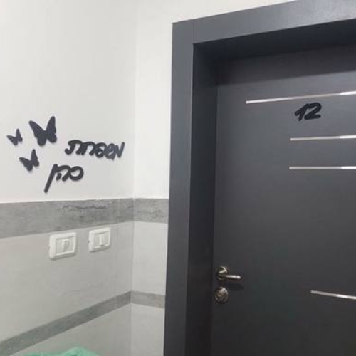 שלט שם משפחה לקיר ליד הדלת עשוי בתוספת שלושה פרפרים