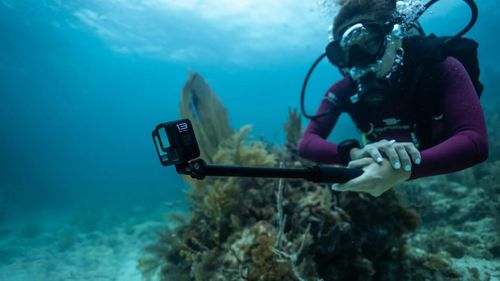 מצלמת גופרו מחיר