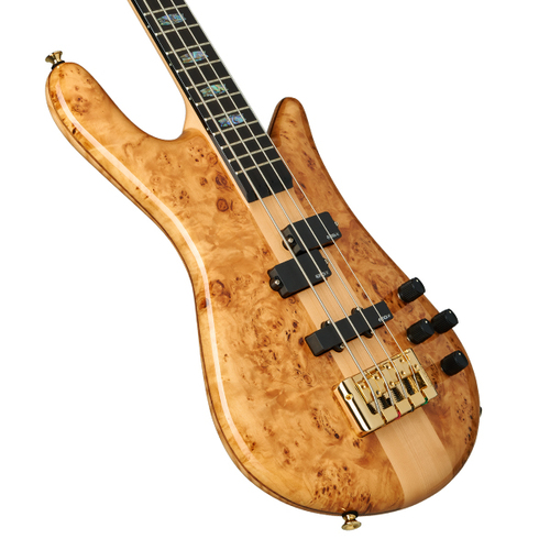 זוית נוספת Spector Euro 4 CST - Natural Gloss