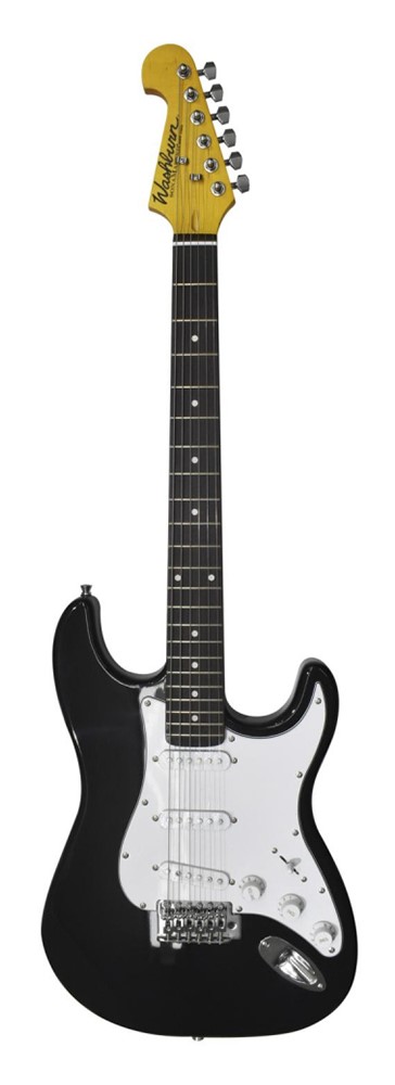 Washburn WS300B