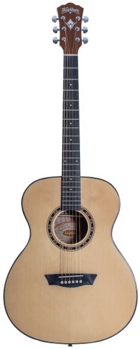 Washburn Apprentice F5