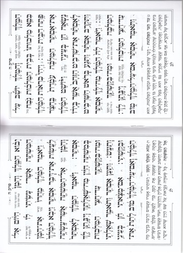 מגילת אסתר כוונת הלב - כריכה רכה