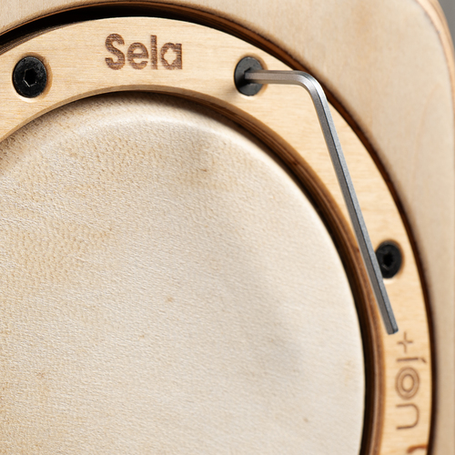 Sela Iconic Cajon - Limba קחון משולב פרקשן שיתוף פעולה של SELA ו ION 
