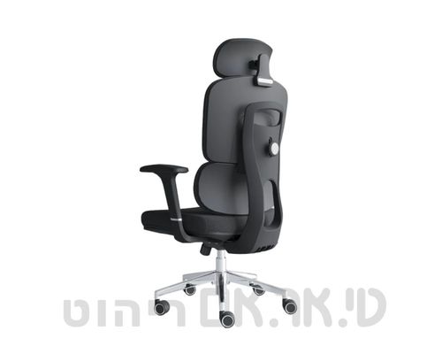 כסא מחשב ארגונומי